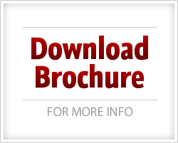 NW Indiana and Chicago Leasing Brochure